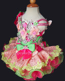 Stunning Beaded Lace Little Princess Nations Cupcake Pageant Dress - CupcakePageantDress