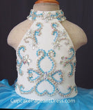 Infant/toddler/baby/children/kids Girl's Pageant evening/prom/ball Dress/clothing/gown 1~4T - CupcakePageantDress