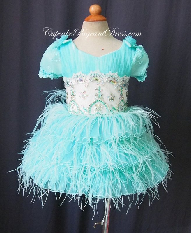 Custom Made Feather Little Girls/Newborn/Kids Pageant Dress - CupcakePageantDress