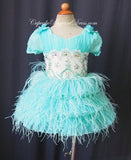 Custom Made Feather Little Girls/Newborn/Kids Pageant Dress - CupcakePageantDress