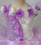 Infant/toddler/baby/children/kids Girl's Cupcake Pageant Dress - CupcakePageantDress