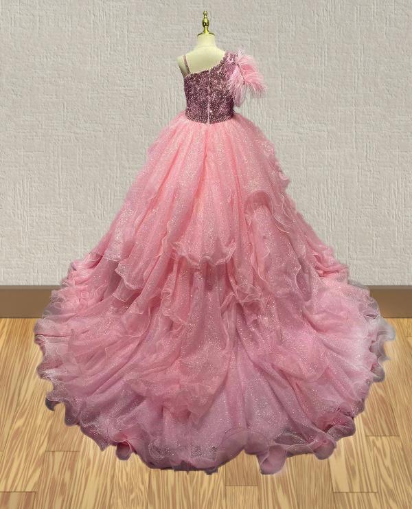 Little Princess Pink Glitter Pageant Dress with Feather