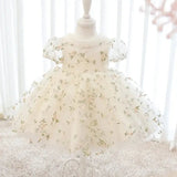 Toddler's Party Dress with Puffy Sleeves