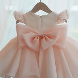 Powder Pink Organza Princess Ball Gown for Toddlers - CupcakePageantDress