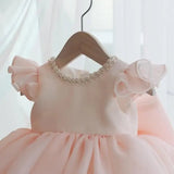 Powder Pink Organza Princess Ball Gown for Toddlers - CupcakePageantDress