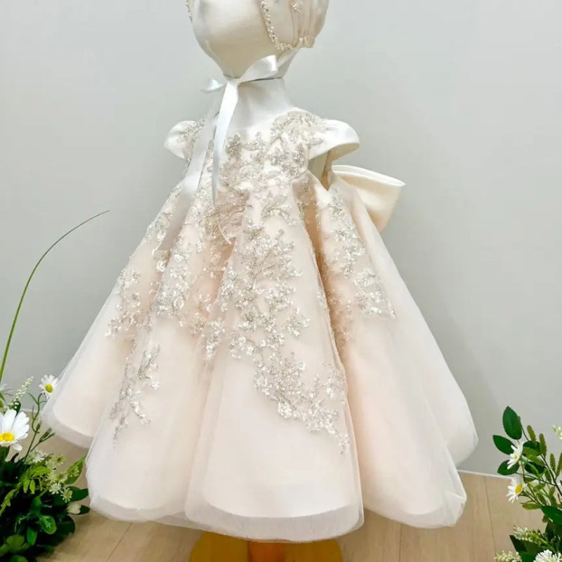Elegant Light Pink Baby Christening  Dress withSilver Embroidery