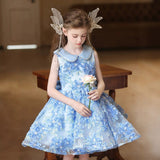 Elegant Back View of Girl in Floral Dress and Winged Accessory