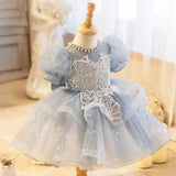 Dreams Do Come True in This Enchanting Light Blue Dress