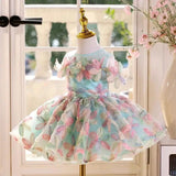 Elegant light blue child's dress adorned with colorful - CupcakePageantDress
