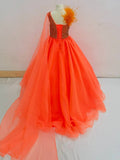 Gorgeous Little Girls Beauty Pageant Dress with Feather - CupcakePageantDress