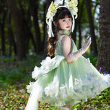Enchanted Forest Princess Dress with Butterfly Wings