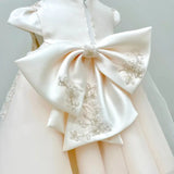 Elegant Light Pink Baby Christening  Dress withSilver Embroidery