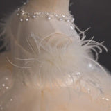 Sparkling Champagne Feather & Sequin Princess Tulle Dress for Girls - CupcakePageantDress