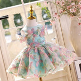 Elegant light blue child's dress adorned with colorful - CupcakePageantDress