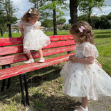 Toddler's Party Dress with Puffy Sleeves