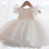 Powder Pink Organza Princess Ball Gown for Toddlers - CupcakePageantDress