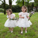Toddler's Party Dress with Puffy Sleeves
